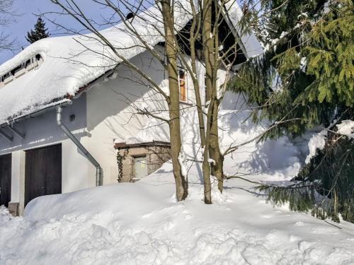 Dolni Maxov Ski Chalet | Chalet Sedmidomí by Interhome