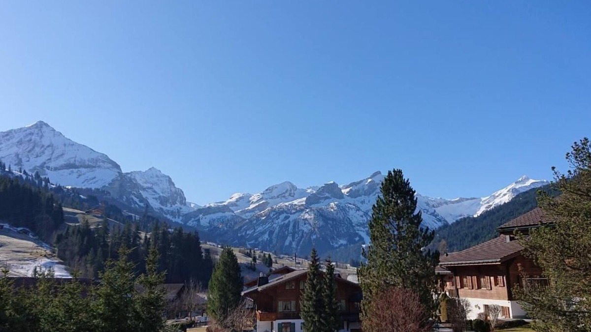 Feutersoey Apartment | Chalet Wittebärg