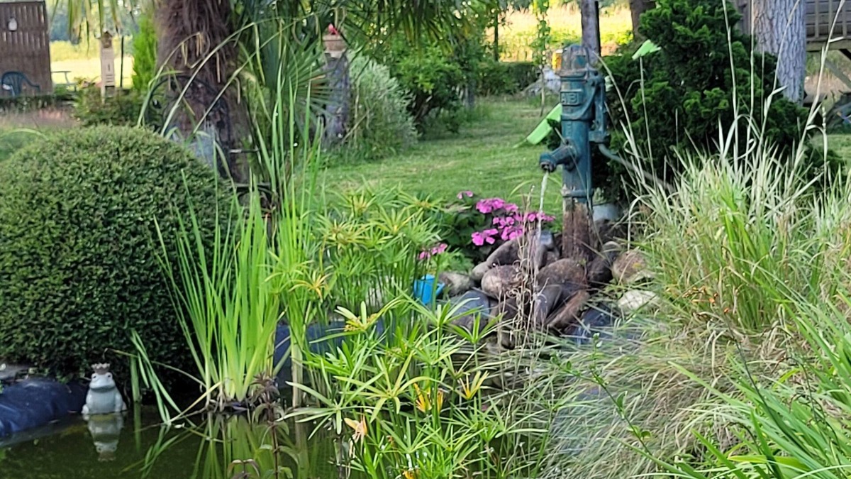 Quebriac House | Chambre D'hotes Avec Petit Déjeuner