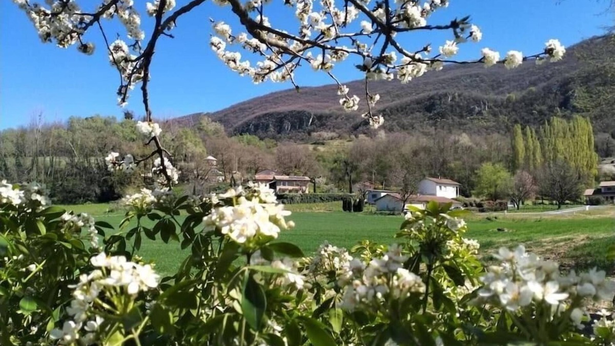 Hostun House | Chambre d'Hôtes l'Hôsting Noix