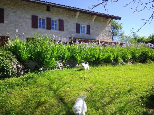 Chevillard Bed & Breakfast | Chambre d'hôtes La Haie Fleurie