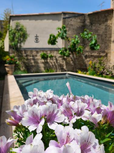Aigues-Mortes Medieval City Bed & Breakfast | Chambre d'hôtes villa Adoya dans les remparts, piscine, ascenseur