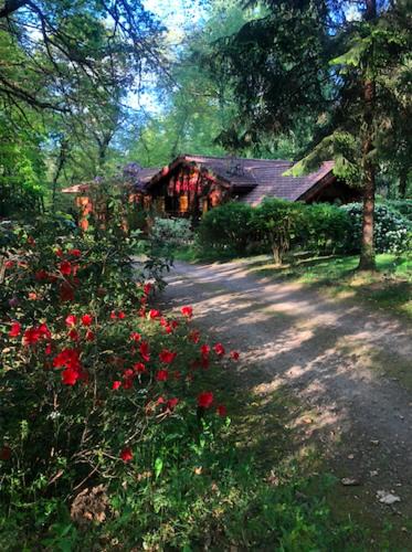 Saint-Priest-sous-Aixe Bed & Breakfast | Chambre d'hôte txaleta (le Chalet)