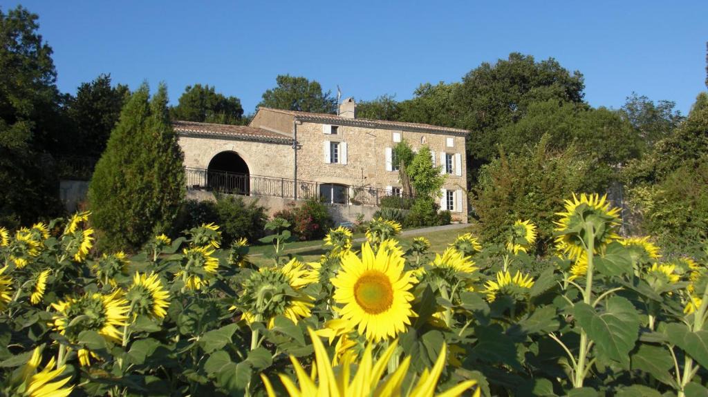 Saint-Martin-Lalande Bed & Breakfast | Chambres d'Hotes Domaine de la Capelle