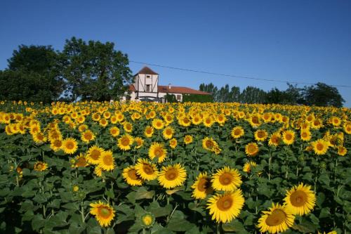 Dunes Bed & Breakfast | Chambres Rozies Dunes