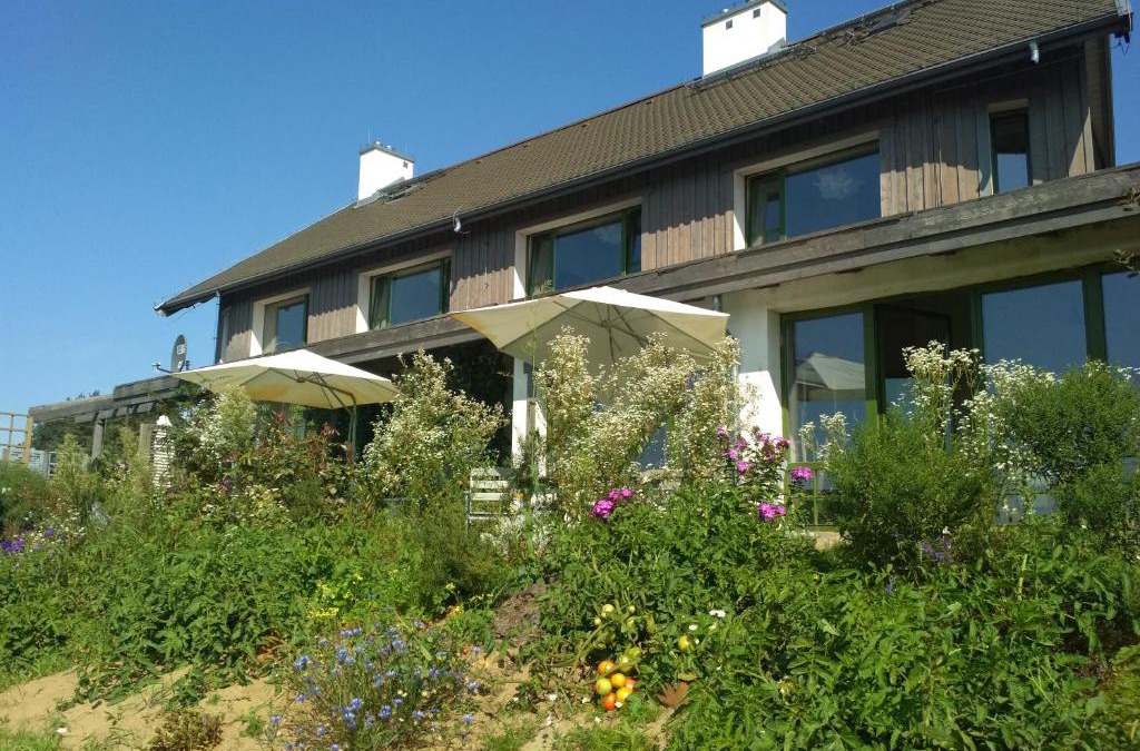 Brochow Bed & Breakfast | Chamedafne w Puszczy Kampinoskiej