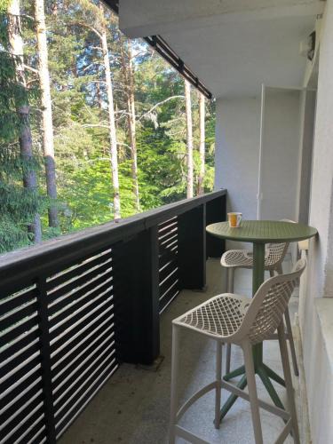 Samokov Apartment | Chamkoria Forest View & Spa