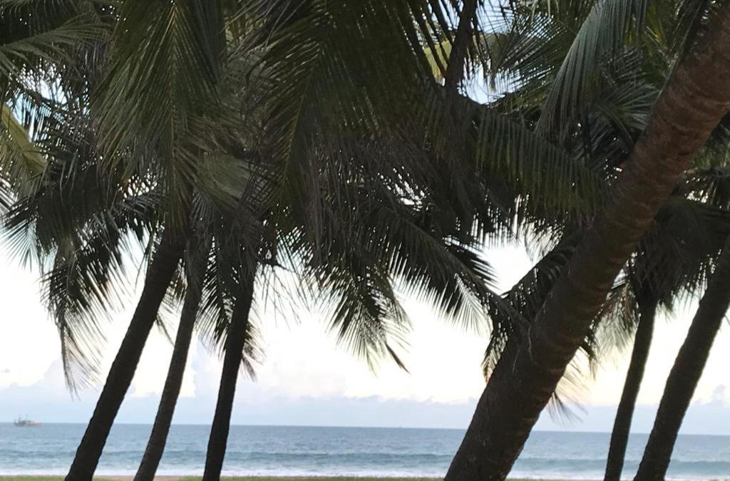 Kalapettai Resort | Chan Beach Resort