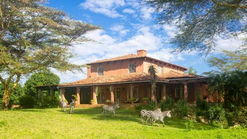 Usa Resort | Chara Africa Hotel