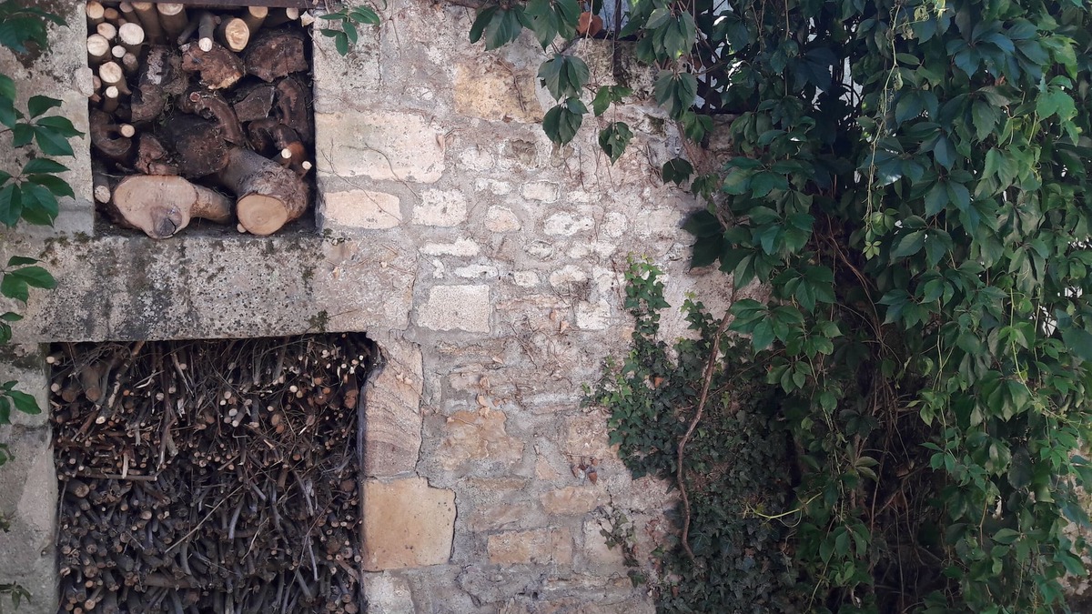 Lurcy-Levis House | Character family house, with large enclosed garden and swimming pool