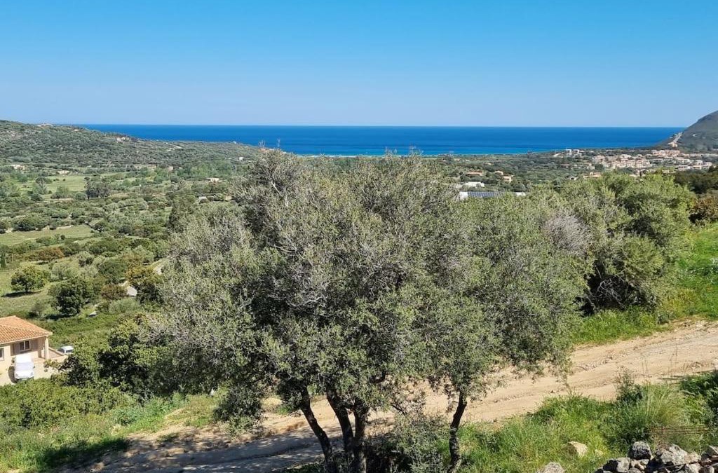 Belgodere Apartment | Charmant petit logement à 3 kms de la plage