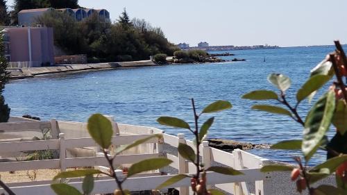 Balaruc-les-Bains Apartment | Charmant T2 pieds dans l'eau tout confort climatisé classé 2 étoiles tarif promotionnel pour curistes