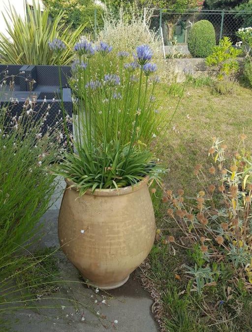 Carcassonne Villa | Charmante maison avec jardin et garage.