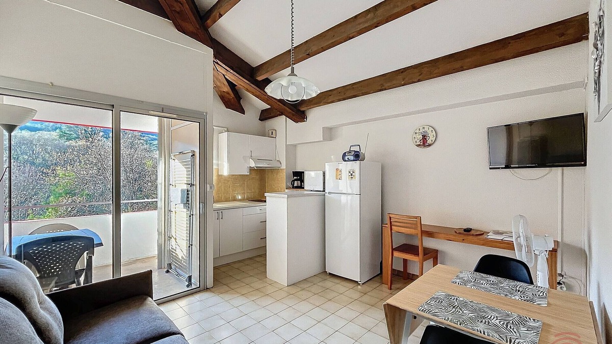 Lamalou-les-Bains Apartment | Charming 1-Bed Apt with Terrace near Spa & Nature Park, 400m from Town Center, Pets Welcome