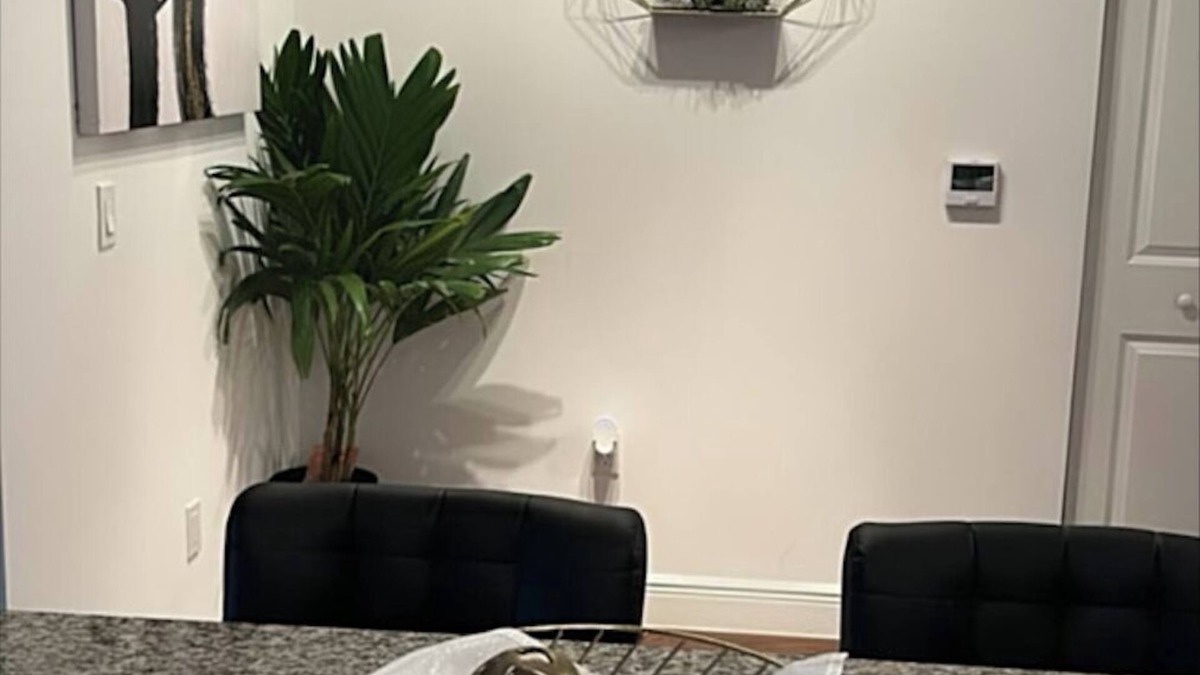 West Palm Beach Apartment | Charming 1-bedroom apartment in lovely West Palm Beach with AC, WiFi