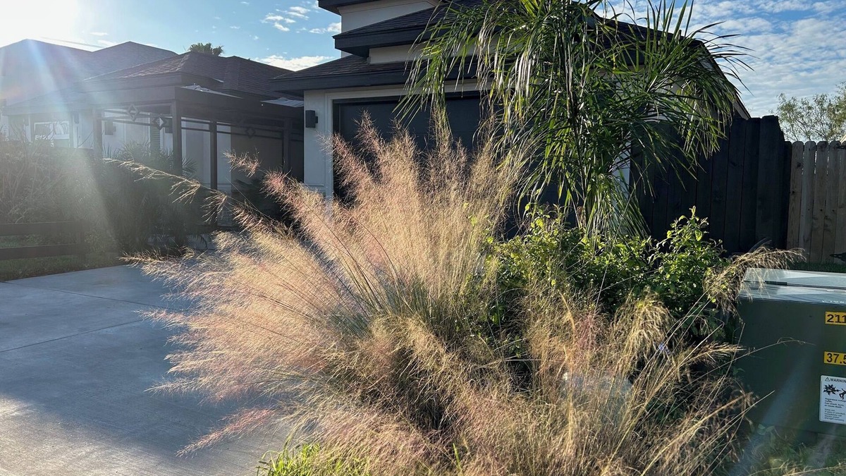 Brownsville House | Charming 1-bedroom private suite with WiFi, AC in serene Brownsville Sleeps 1