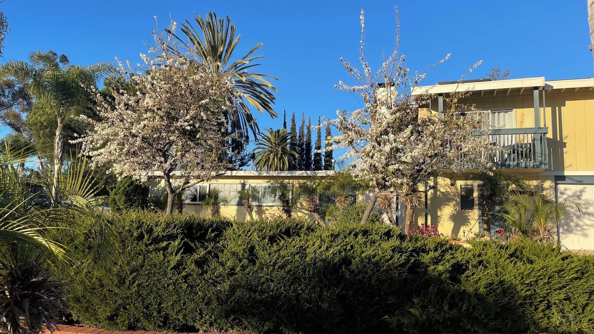 La Mesa House | Charming 2-bedroom house with WiFi and AC in tranquil La Mesa