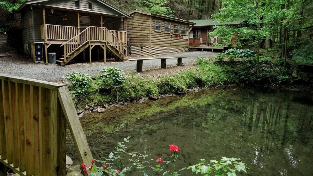 Ellijay Cabin | Charming 2-bedroom POND NOOK cabin at Mulberry Gap with AC, WiFi, & Kitchenette!