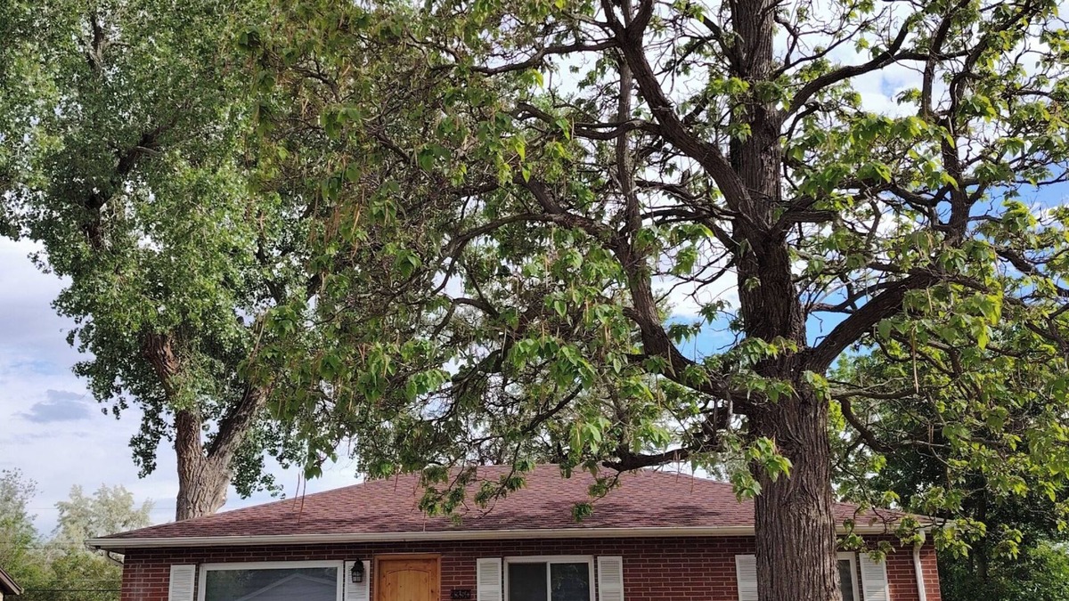 Harvey Park South House | Charming 3-bedroom house with WiFi, AC in delightful Denver