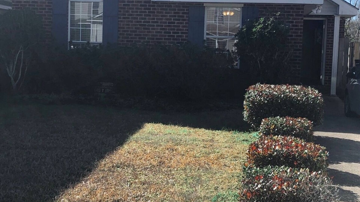 Village De L'Est House | Charming 3-bedroom house in vibrant New Orleans area with WiFi and AC!