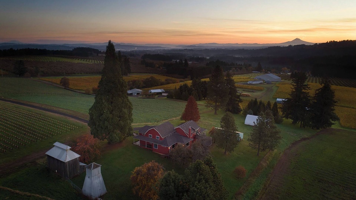 Sherwood Other | Charming 5-bedroom farmhouse surrounded by vines in Sherwood.