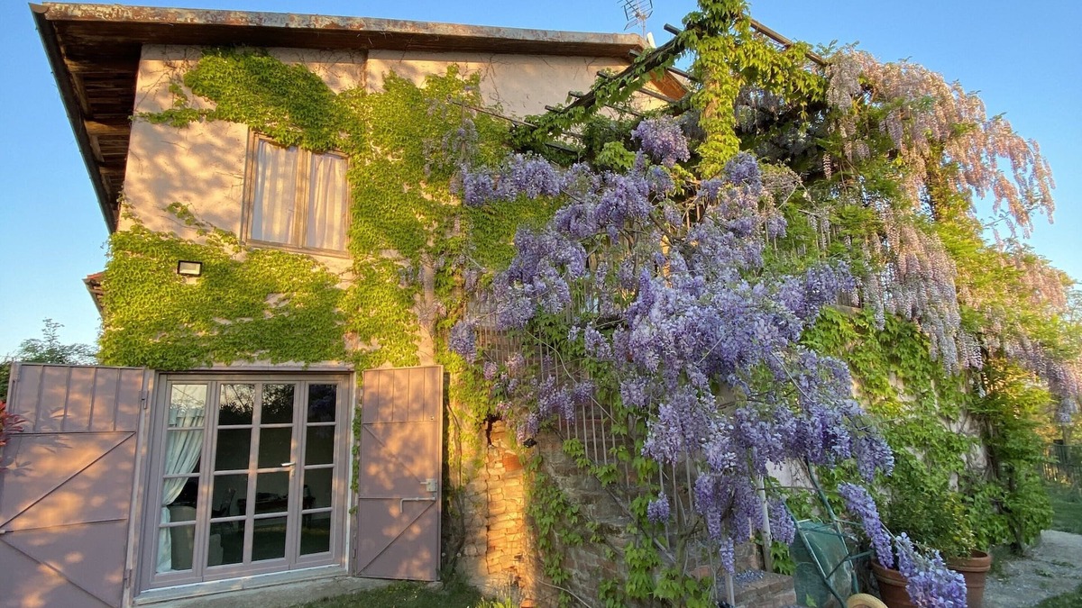 Ferrere Apartment | Charming and cozy apartment in Monferrato and Roero countryside Langhe and Turin