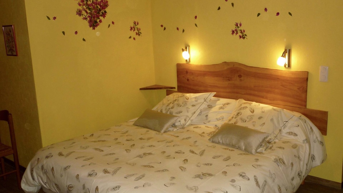 Saint-Andre-de-Lidon House | Charming bed and breakfast 5 pers. spa access, wifi, air conditioning, all comforts