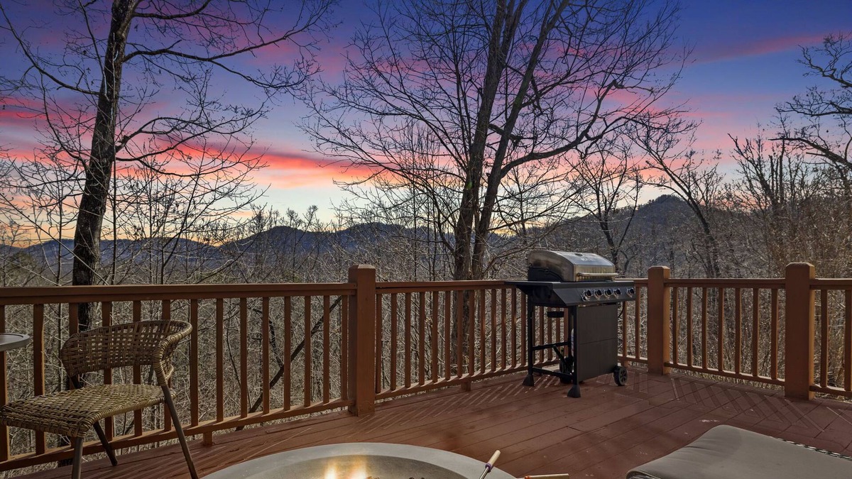 Old Fort Cabin | Charming Blue Ridge & Black Mnt Oasis