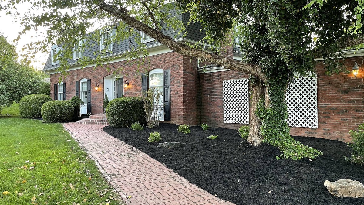 Carbondale House | Charming Brick House in Quiet Carbondale Neighborhood