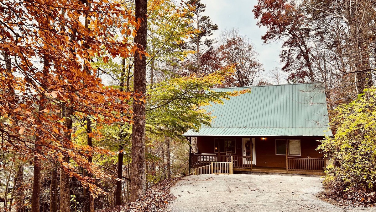 Clayton Cabin | Charming Clayton Cozy Cottage, 3/2 in town, minutes to everything