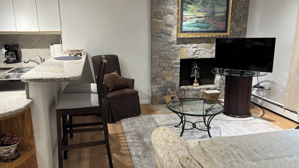 Aspen Condo | Charming Condo in Park Setting