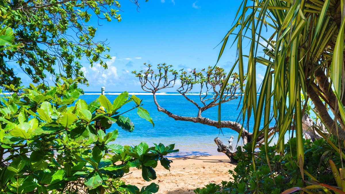 Kilauea Cottage | Charming cottage, nearby access to Anini beach - 85 steps away