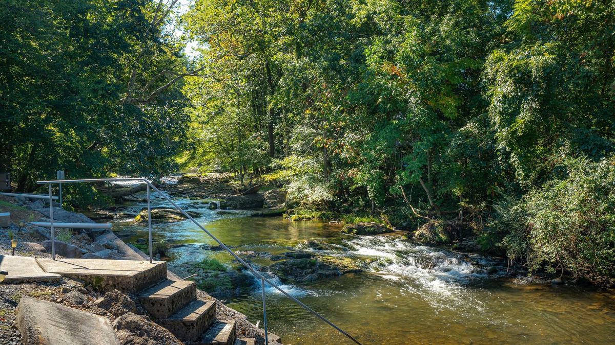 Cosby Cottage | Charming Cottage Right On Cosby Creek! Enjoy the waterfall from the porch!