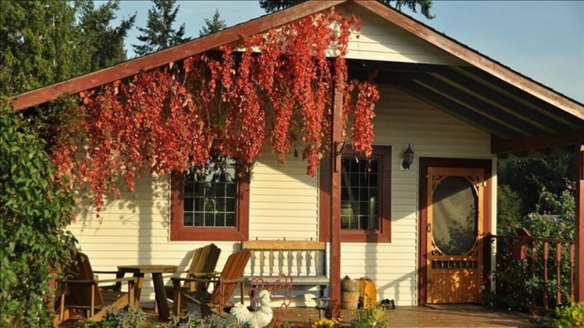 Yellow Point Cottage | Charming Country Cottage Getaway in Yellowpoint - 15 Min to Nanaimo