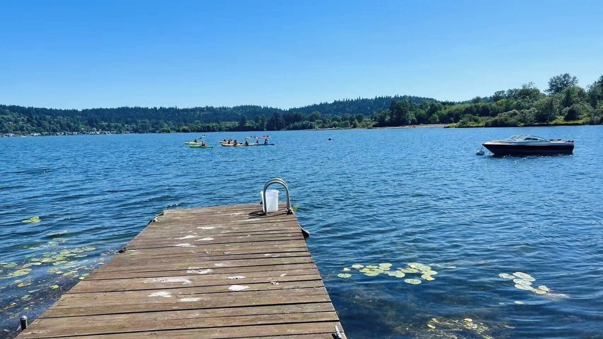 Issaquah House | Charming Cozy Dream Waterfront Family Refuge Relax House