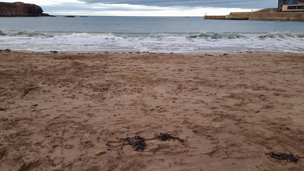 Eyemouth Apartment | Charming Eyemouth apartment close the beach