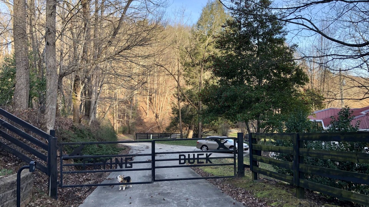 Dahlonega Cottage | Charming Farmhouse on Beautiful Horse Farm