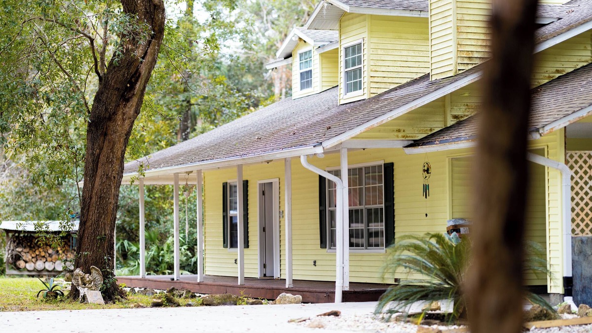 Chuluota Other | Charming Forest Farmhouse: Nature Lover paradise - Grazing cow field