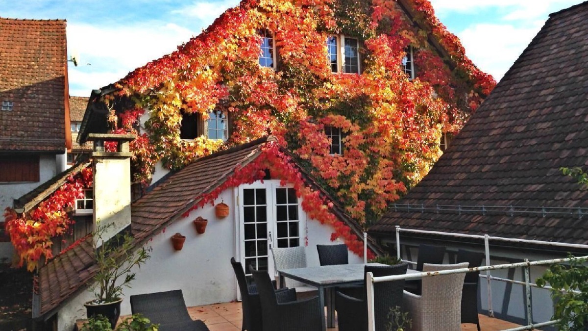 Andelfingen District Apartment | Charming historic house near the Rhine Falls