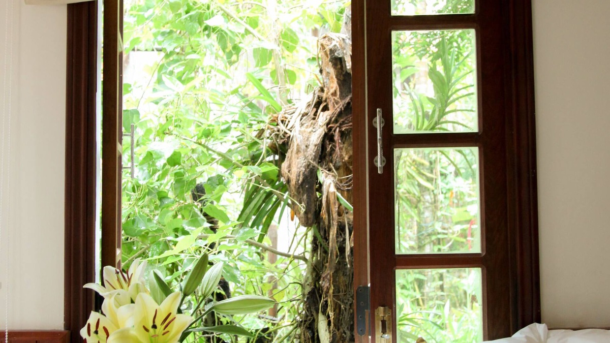 Hoi An City Centre House | Charming Homestay