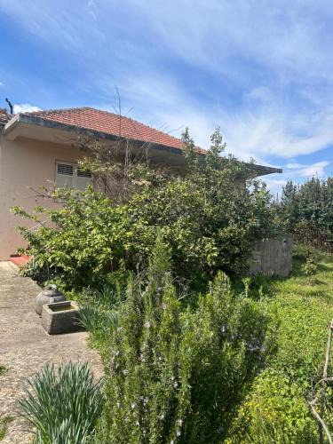 Radovici House | Charming house in Gošići