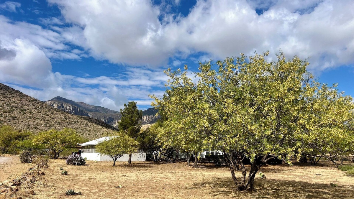 Sierra Vista Southeast House | Charming house in serene Hereford with gorgeous mountain views.