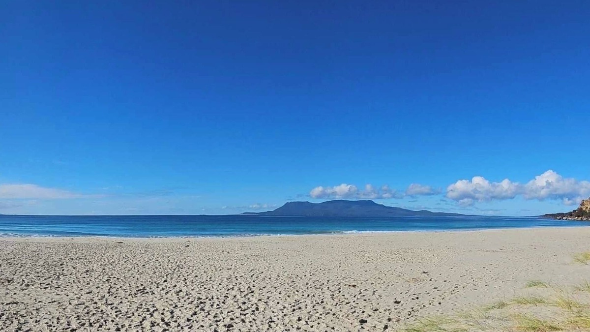 Orford House | Charming house nestled between Orford's golf course, winery, and beaches.