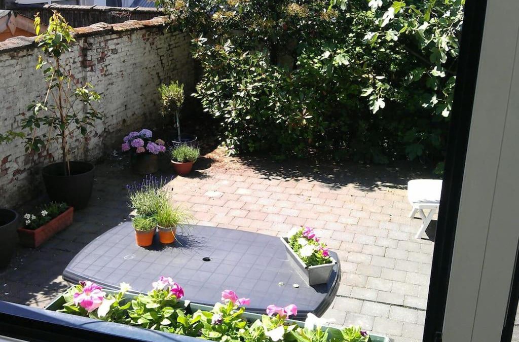 Berchem Apartment | charming house with 3 bedrooms & terrace 10 minutes from city centre