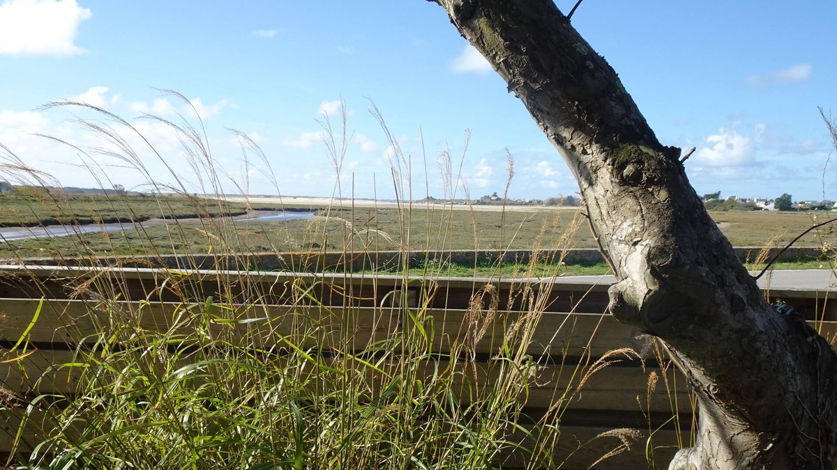 Berven House | Charming house with sea view