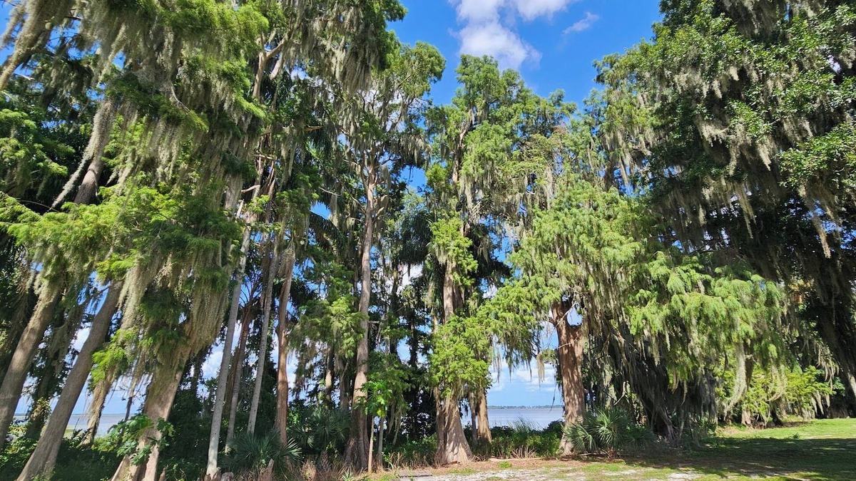 Highland Apartment | Charming Lake Front Apartment