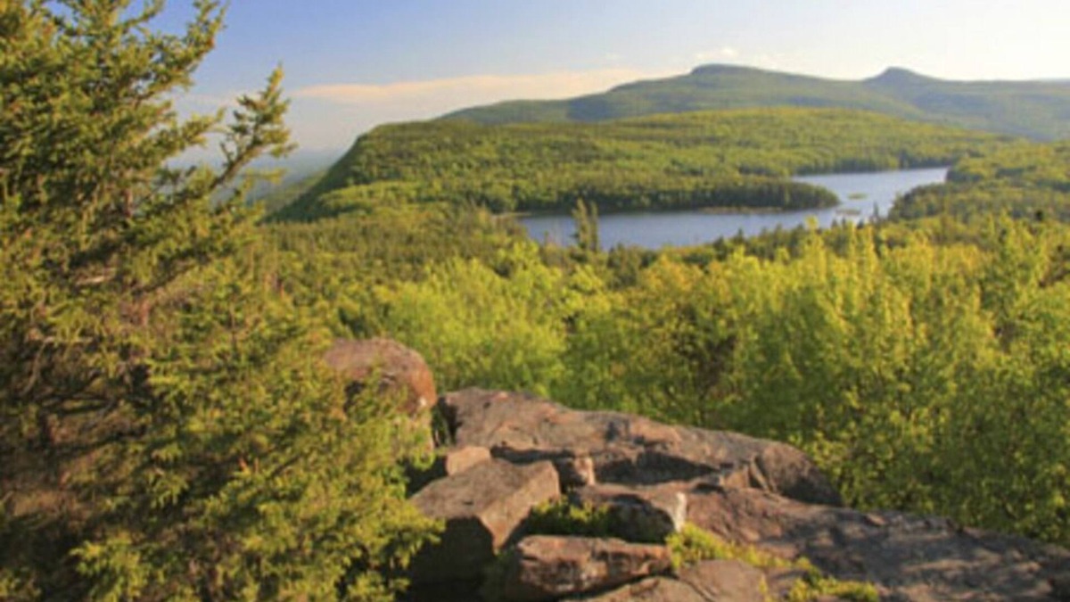 Ferndale Cottage | Charming Lake-House in the heart of the Catskills