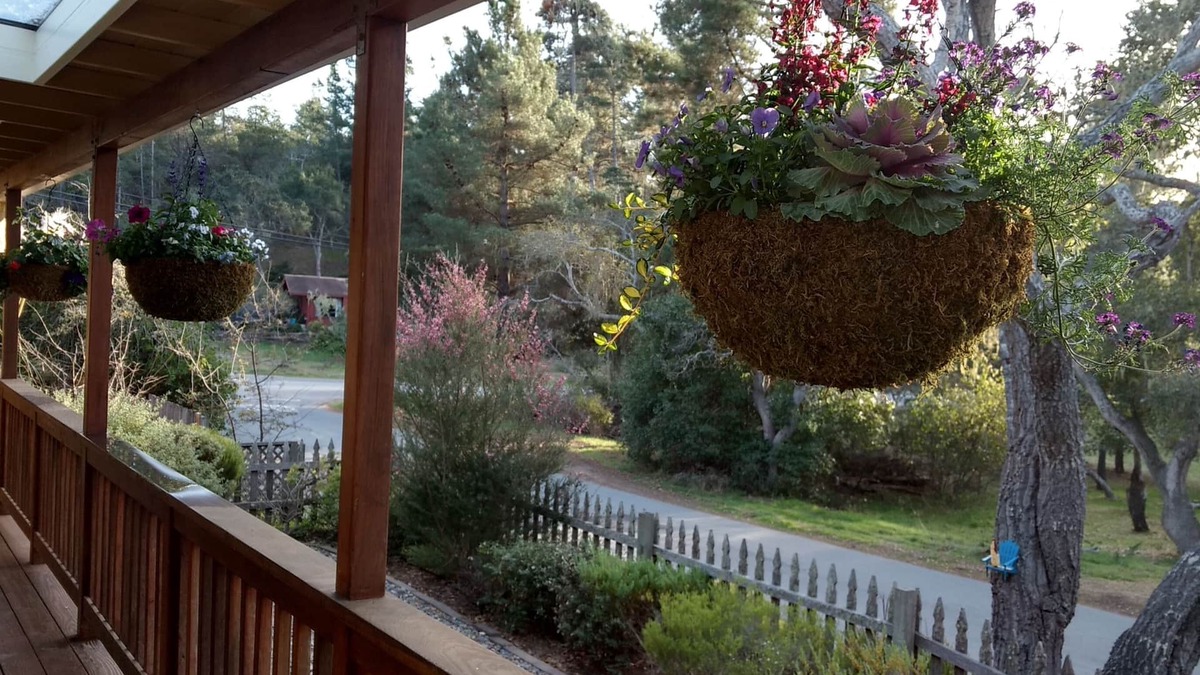 Marine Terrace House | Charming Remodeled Single Level. HotTub. Fenced backyard. Porch view!