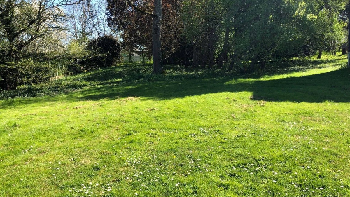 Beaulieu-sur-Loire House | Charming rental with 1 ha park and woods