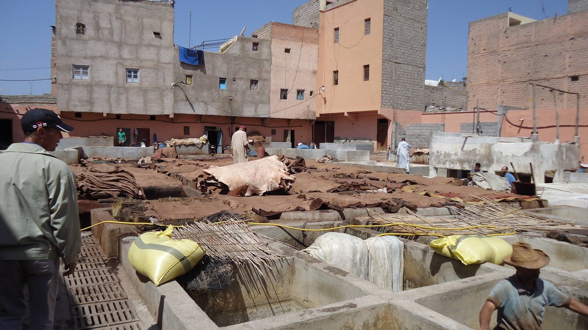 Zaouia Sidi Rhalem House | Charming Riad Bed and Breakfast